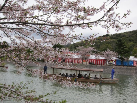 You can also get a ride on the boat along the Uji river. 